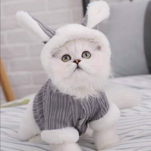 Pets Fur Coat